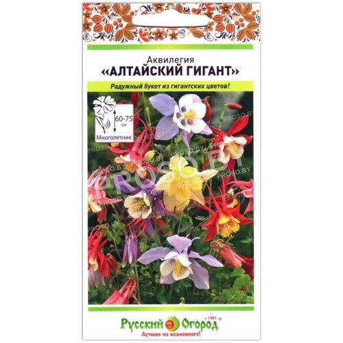 Аквилегия Алтайский гигант, смесь-1