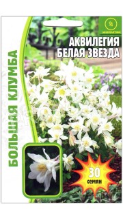 Аквилегия Белая звезда
