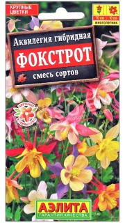 Аквилегия гибридная Фокстрот, смесь