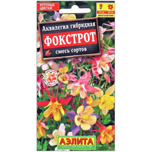 Аквилегия гибридная Фокстрот, смесь