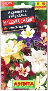 Аквилегия гибридная Маккана джайнт, смесь