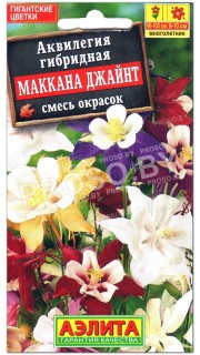 Аквилегия гибридная Маккана джайнт, смесь