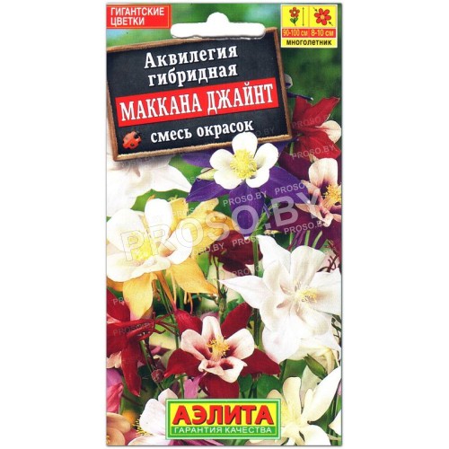 Аквилегия гибридная Маккана джайнт, смесь