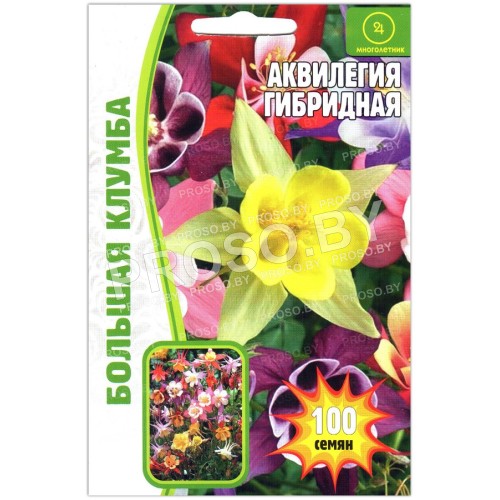 Аквилегия Гибридная, смесь
