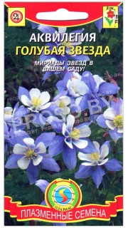 Аквилегия Голубая звезда
