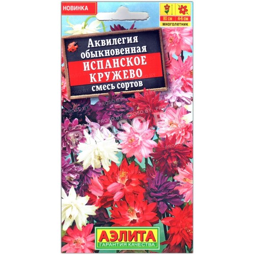 Аквилегия Испанское кружево, смесь