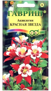 Аквилегия Красная звезда