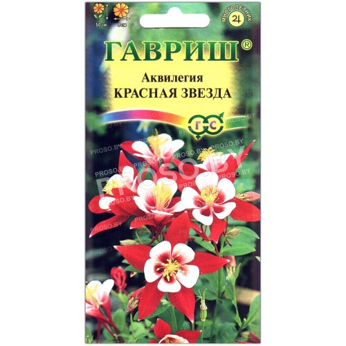 Аквилегия Красная звезда