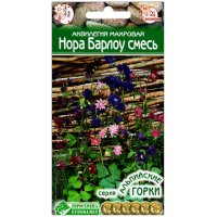 Аквилегия махровая Нора Барлоу, смесь