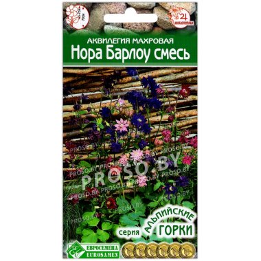 Аквилегия махровая Нора Барлоу, смесь
