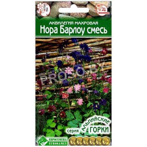 Аквилегия махровая Нора Барлоу, смесь