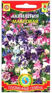 Аквилегия Махровая, смесь