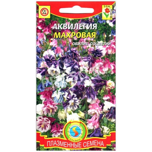 Аквилегия Махровая, смесь