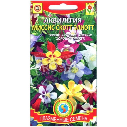 Аквилегия Миссис Скотт Элиотт