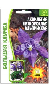 Аквилегия низкорослая Альпийская