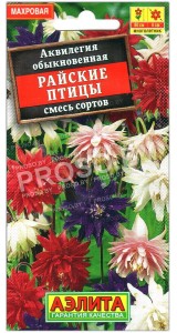 Аквилегия Райские птицы, смесь