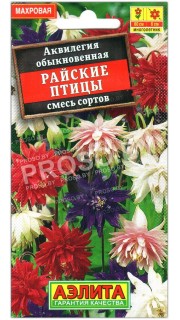 Аквилегия Райские птицы, смесь
