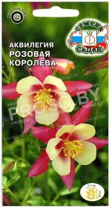 Аквилегия Розовая королева