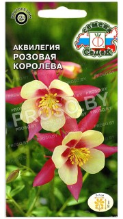 Аквилегия Розовая королева