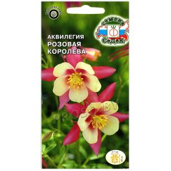 Аквилегия Розовая королева