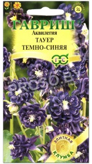 Аквилегия Тауер темно-синяя