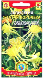 Аквилегия Желтая королева