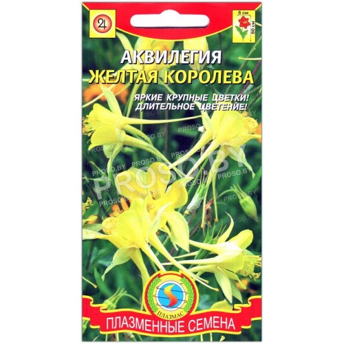 Аквилегия Желтая королева