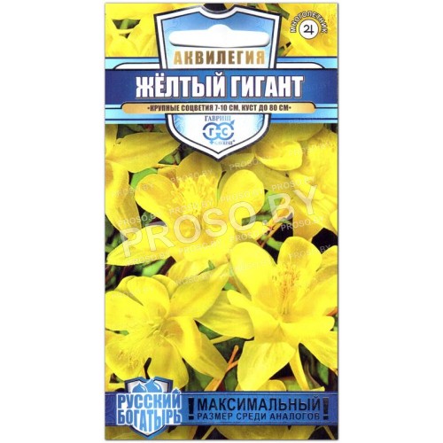 Аквилегия Желтый гигант