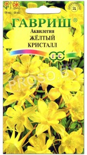 Аквилегия Желтый кристалл