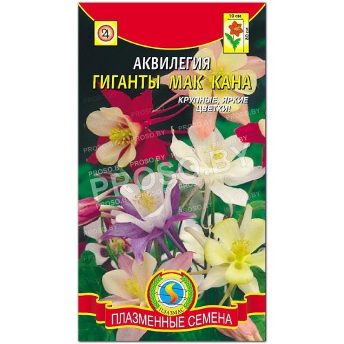Аквилегия Гиганты Мак Кана, смесь