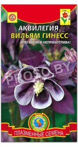 Аквилегия Вильям гинесс