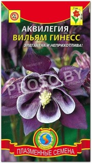 Аквилегия Вильям гинесс