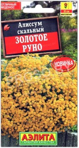 Алиссум скальный Золотое руно