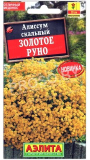 Алиссум скальный Золотое руно
