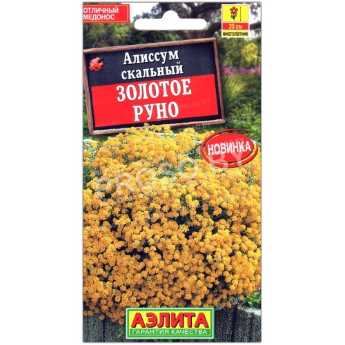 Алиссум скальный Золотое руно
