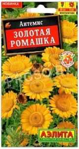 Антемис Золотая ромашка