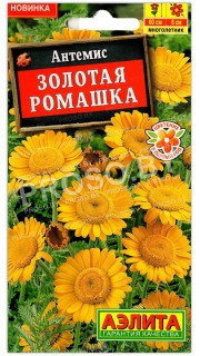 Антемис Золотая ромашка
