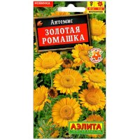 Антемис Золотая ромашка