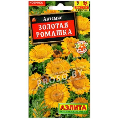 Антемис Золотая ромашка