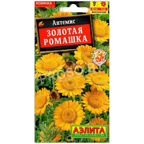 Антемис Золотая ромашка