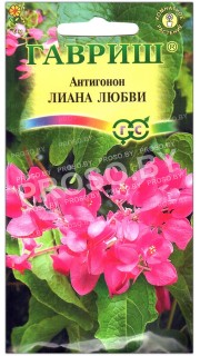 Антигонон Лиана любви