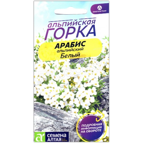 Арабис альпийский Белый