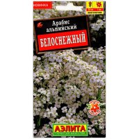 Арабис альпийский Белоснежный Арабис альпийский Белоснежный