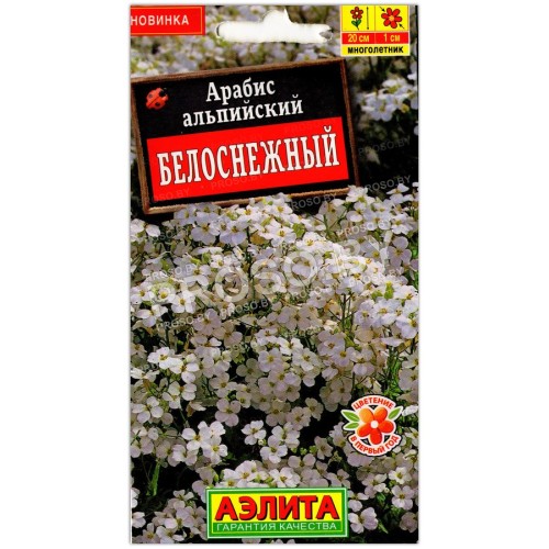Арабис альпийский Белоснежный