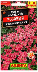 Арабис альпийский Розовый