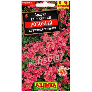 Арабис альпийский Розовый
