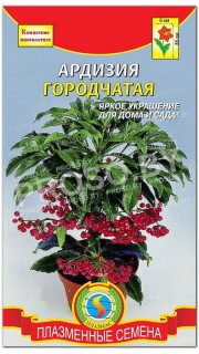 Ардизия Городчатая