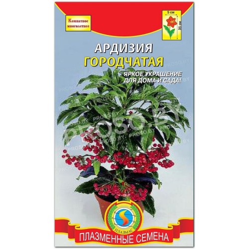 Ардизия Городчатая