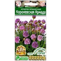 Армерия приморская Королевская армада