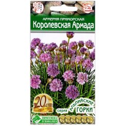 Армерия приморская Королевская армада
